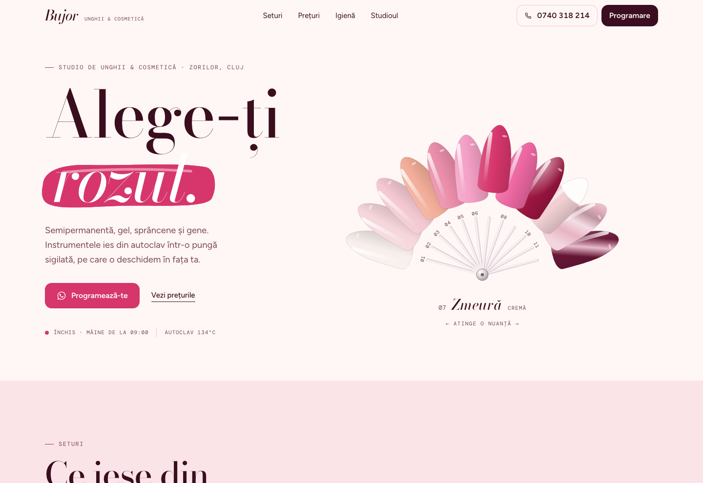 Model de site pentru Studio unghii — captură BUJOR