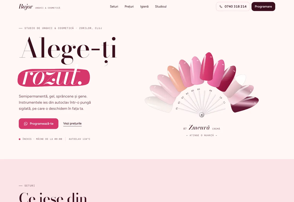 Model de site pentru Studio unghii — captură BUJOR